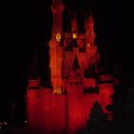 Disney 2010 236